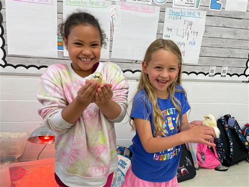 Students with chicks