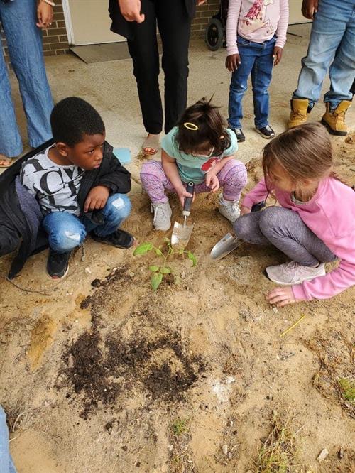 Students working on planting a garden